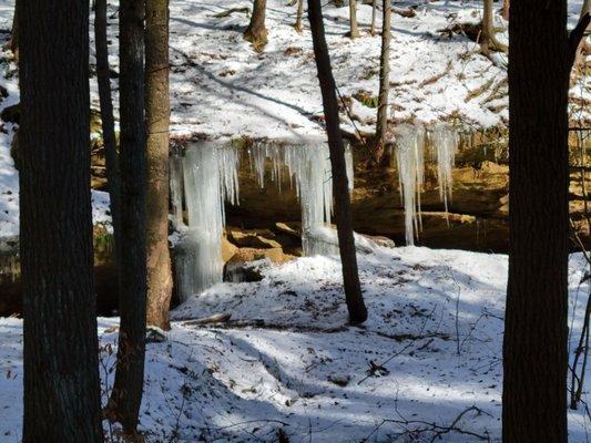 Conkle's Hollow State Nature Preserve