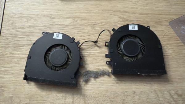 Old laptop fans