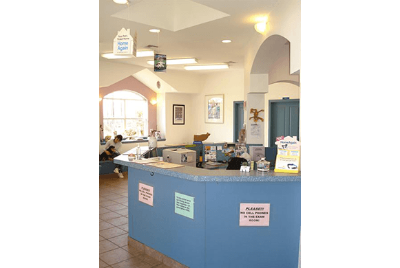 Hill Country Veterinary Hospital