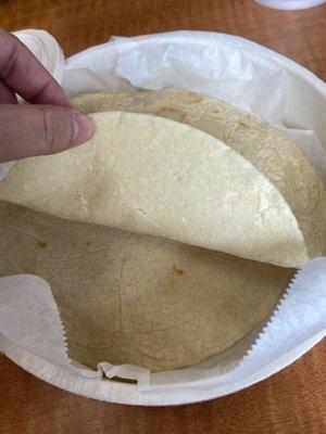 Fresh homemade corn tortillas