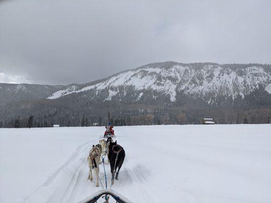 Mountain Paws Dog Sled Tours