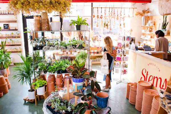 Stems Brooklyn retail shop full of locally made goods, plants, dried flowers and more