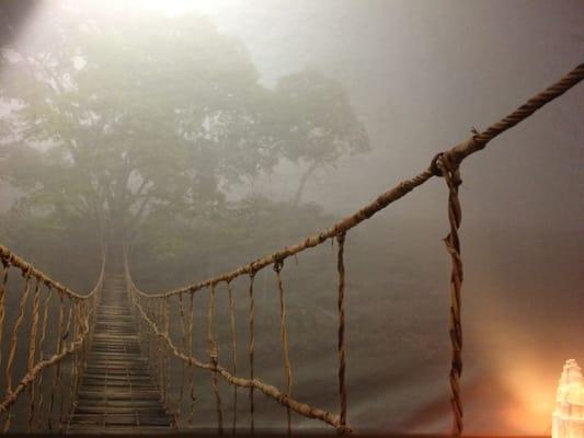 Journey across this bridge to see what's on the other side.