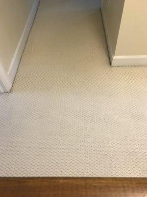 Wilkins Carpet Cleaning