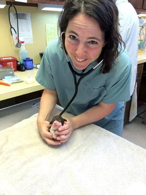 Dr. Peese and a puppy