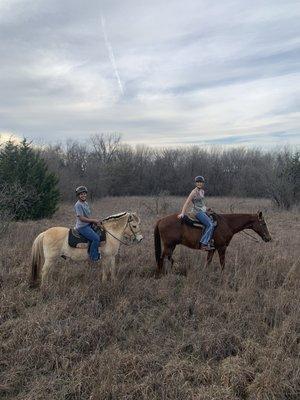 Ziggy (Norwegain Fjord on the left) & Texas (Tommy Lee Jones horse on the right!)