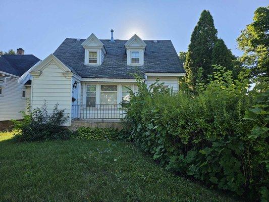 BEFORE: Property maintenance project - overgrown bushes and tree saplings, debris on property,  and overgrown lawn.