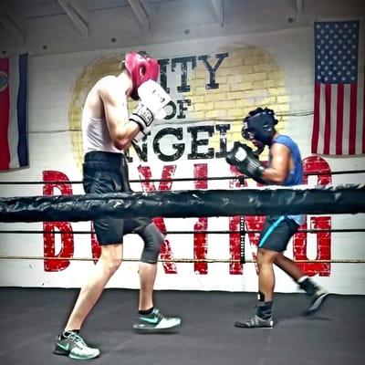 Lite sparring at City of Angels Boxing!