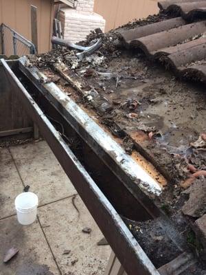 Gutter need replacing plus dry rot repair