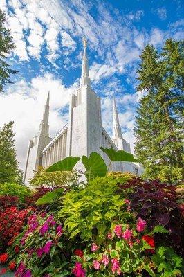 Portland Oregon Temple we have been their electricians for over 20 years.