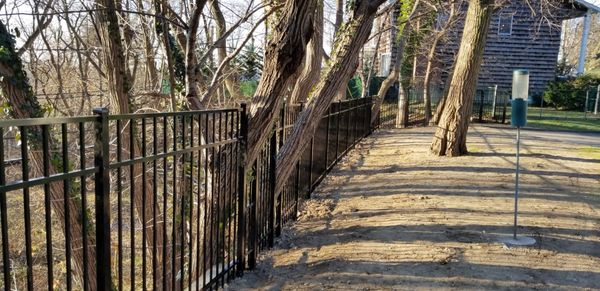 fence built around trees