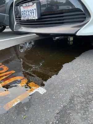 Engine oil leaked out with the oil filter exposed underneath the car