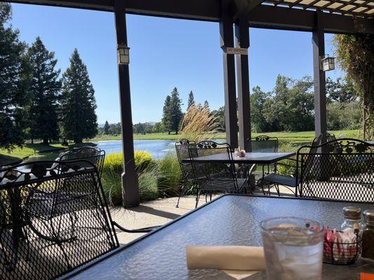 Patio dining view