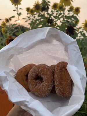 Apple Cider Donuts