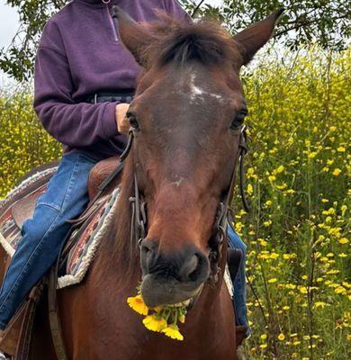 Greens and flowers are so tempting to Ben!