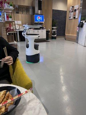 Robot server