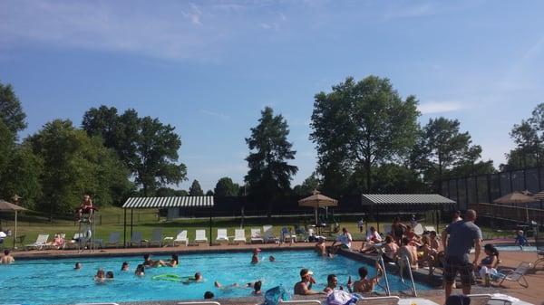 Summer fun at the pool!