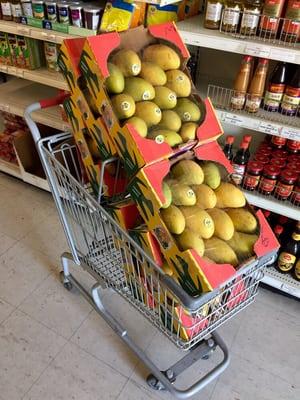 Mangoes in the summer