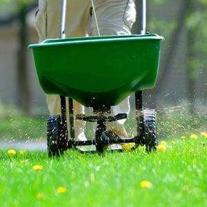 Lawn Care Ovilla TX