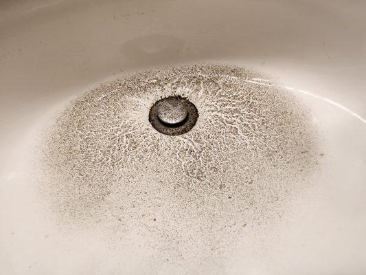 Crusty black stuff in our sink after they drained it