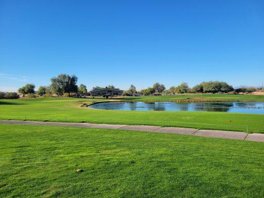 18th Greens (Cub course left, Bear course right) with Clubhouse