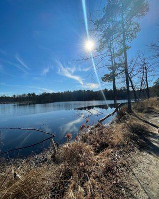 Bog view from nature trail