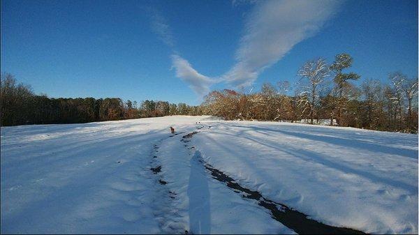 Winter at Milton Fields