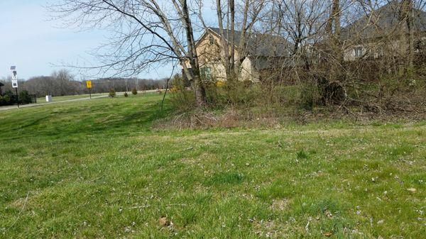 Need pruning and limb pick up in this area as well as mowing front and back yard twice a month.