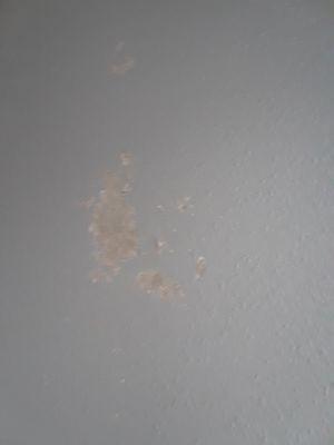 Missing paint pulled off the wall