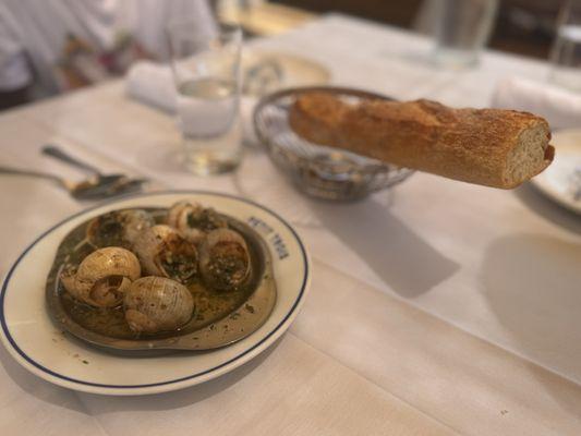 Burgundy Escargots