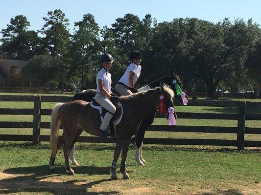 Horseback riding, showing, horse, pony