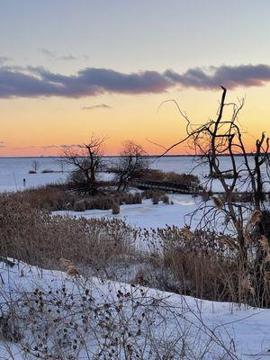 So beautiful. It's been a lovely winter. Very little wind chill.