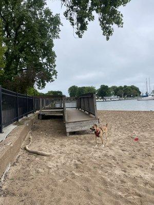 When it's high tide this launch pier is pretty fun to watch the dogs dive