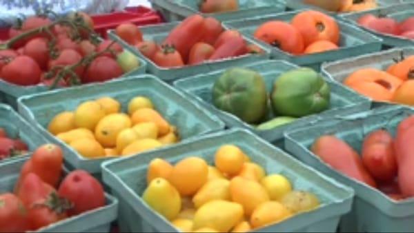 Farm's Market (on selected days)