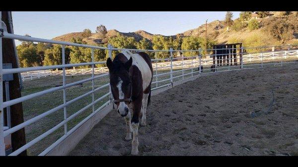 Round pen with small field shown in the back