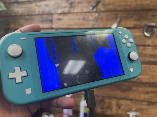 Nintendo Switch Lite LCD Repair