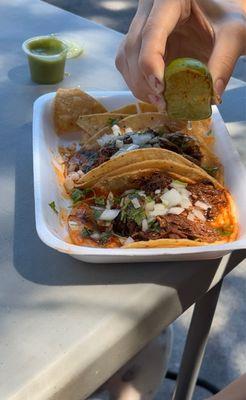 Birria tacos