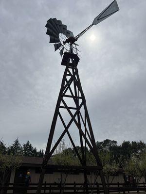 Berry Farm near community pool