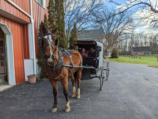 The Amish Homestead