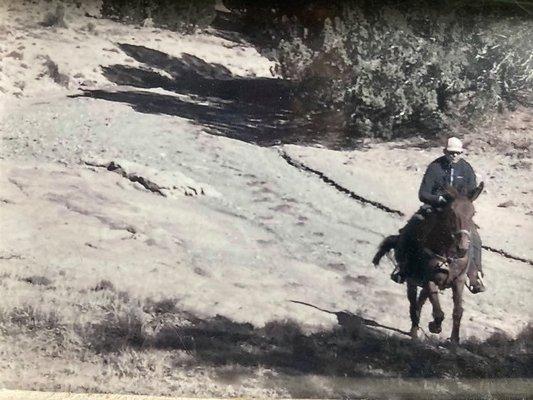 Pretty good for only his fourth time riding, and first time on a mule!