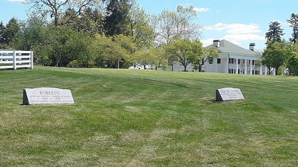 Equine Cemetery