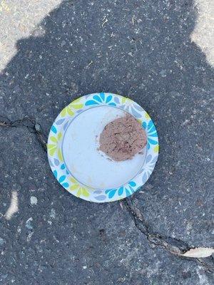 Tuna plate left in the parking lot.