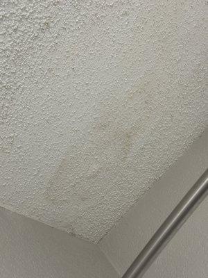 Ceiling water leaks