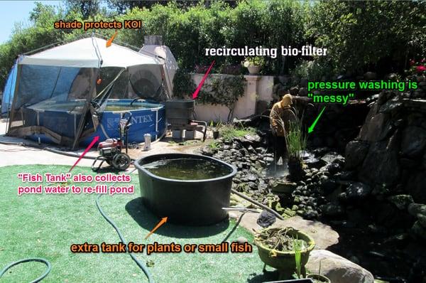 Pond cleaning requirements:  We take care of your fish and recycle your pond water.