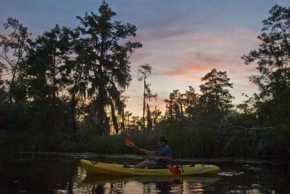 Sunset Kayak Swamp Tours are gorgeous