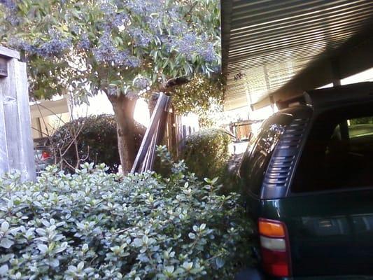 fence falling over  tenants cars