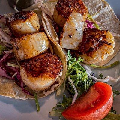 Scallop tacos, OMG delicious