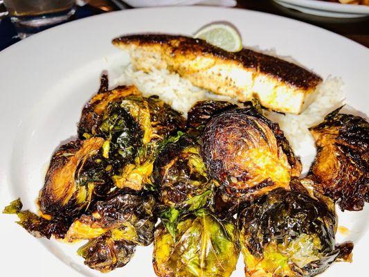 Daily Special Pan Seared Black Amberjack w/ Brussels Sprouts and rice, yum!!