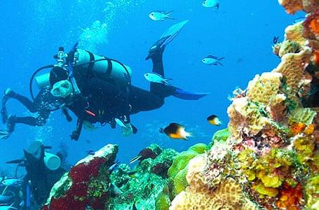 Louisiana Scuba Lessons