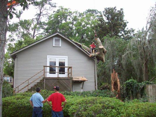 CRANE JOB IN ORTEGA OVER 10 YEARS AGO . LARGE WATER OAK SNAPS OFF HALF WAY UP TREE TRUNK AND LANDS OVER 10 THOUSAND LBS ON STRUCTURE .